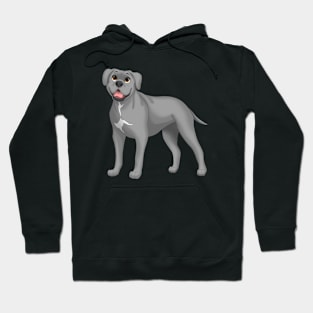 Gray Cane Corso Dog Hoodie